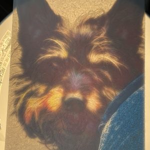 Your Picture as Suncatcher (Lithophane)