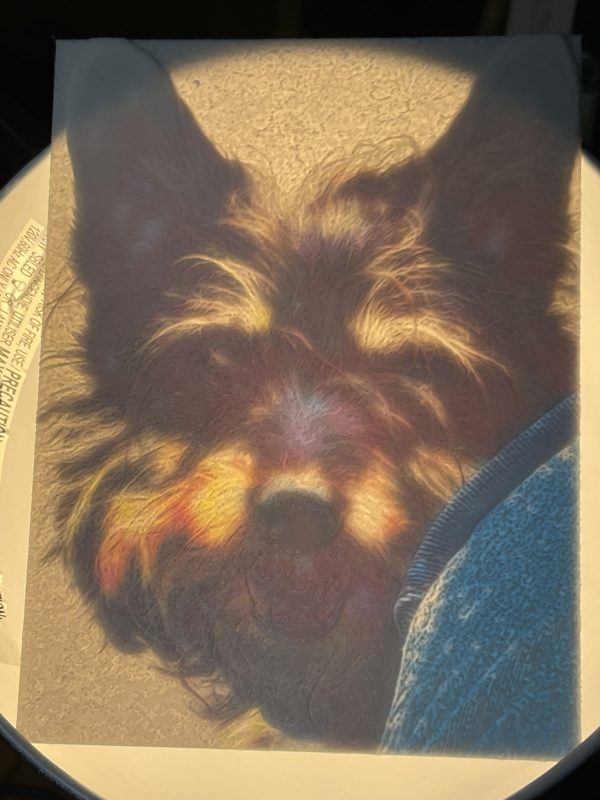 Your Picture as Suncatcher (Lithophane)