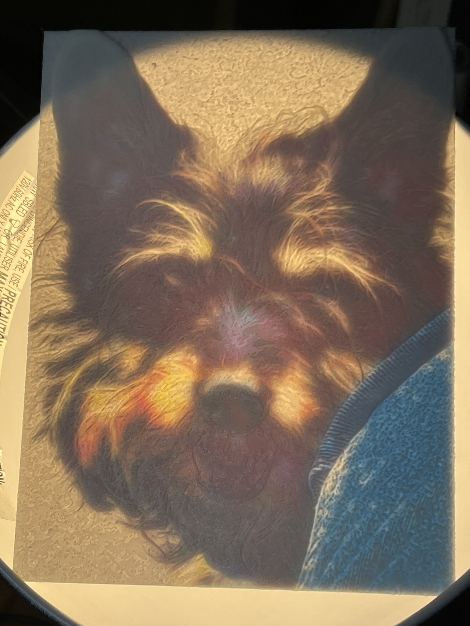 Your Picture as Suncatcher (Lithophane)
